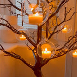 Glass Candle Holders