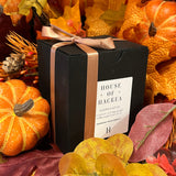 Pumpkin Spice Vegan Scented | Non-Toxic | Soy Wax Candle